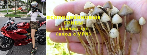 трава Нягань