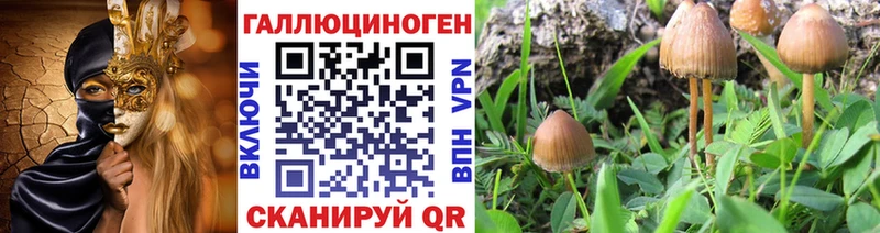 Галлюциногенные грибы Cubensis  где продают наркотики  Шарыпово 